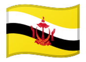 Brunei Darussalam flag