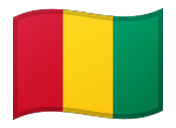 Guinea flag