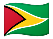 Guyana flag